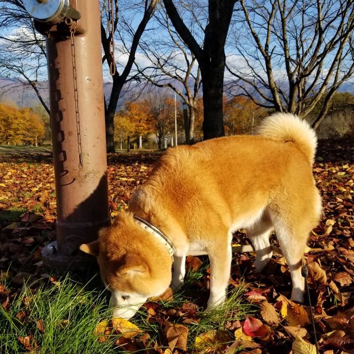 7ecf252e f694 460b 878d f86b777711f5 1636178942677