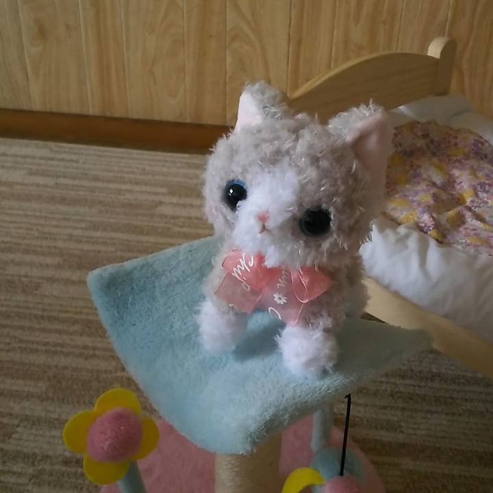 7ecf3445 4ef4 480e 96e0 36a9770ea898 1564893385495