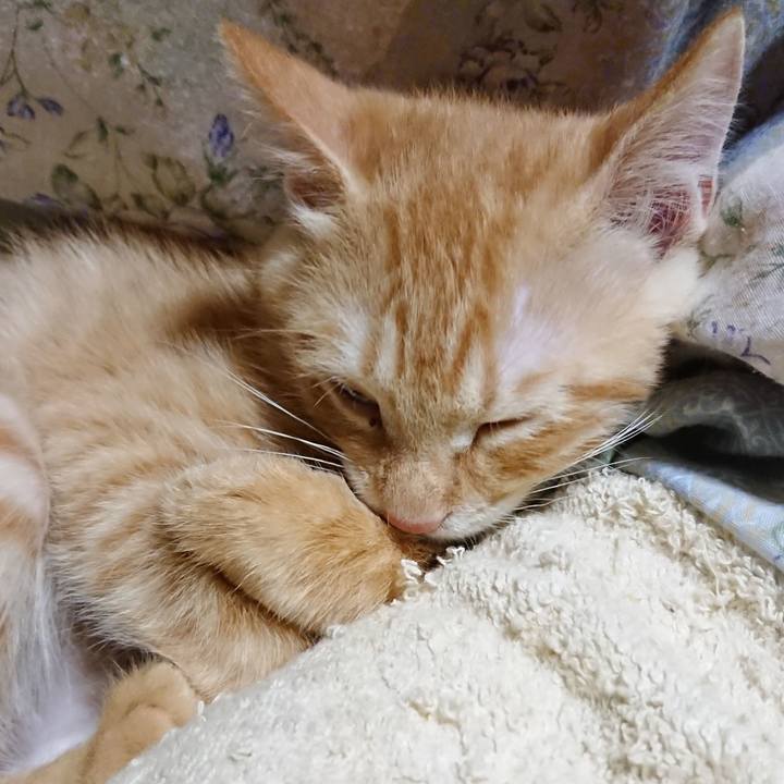 7ecf4058 df02 4114 b0b3 00da26cb8386 1631880685098