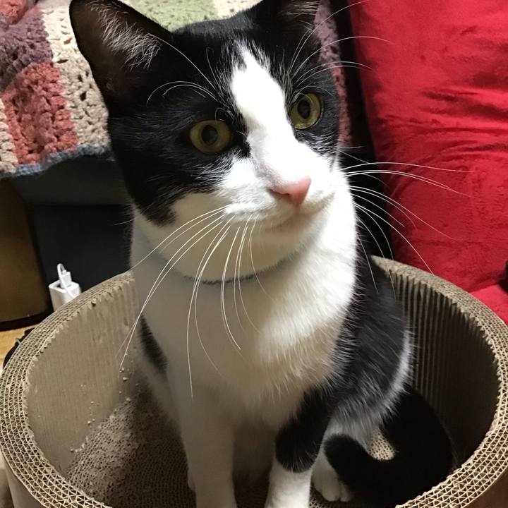 7ecf8719 fcab 40d0 a92c d6a6b6bd99ad 1702027986602