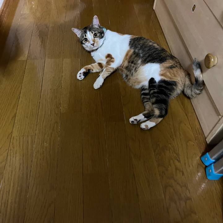 7ecf9320 8f2c 4af0 a180 6294c137c478 1655640799687