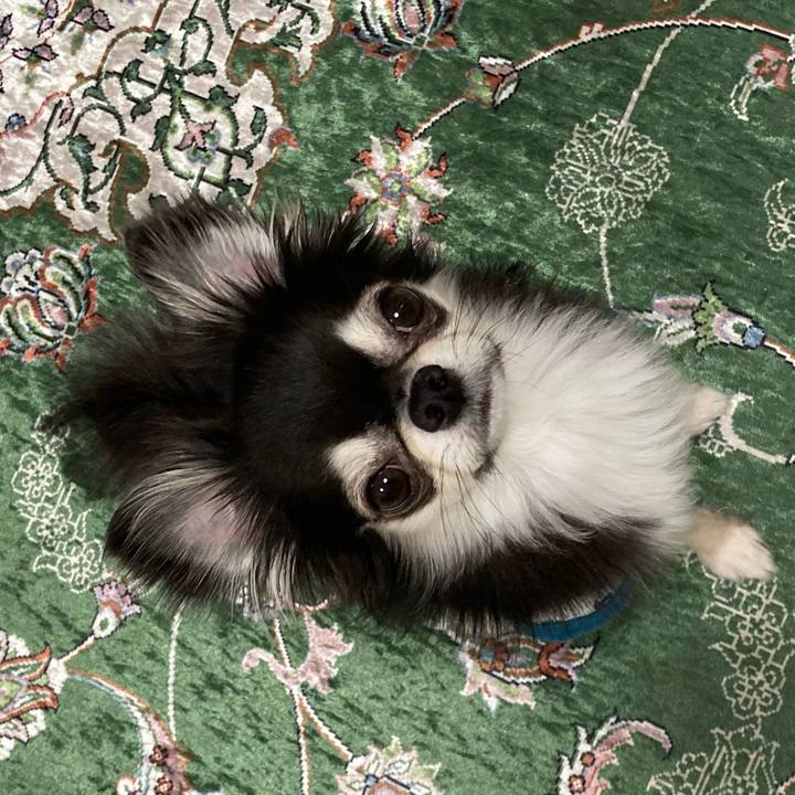 7ecfa091 c2d0 4c1f 9d47 32da2872f142 1650719399348