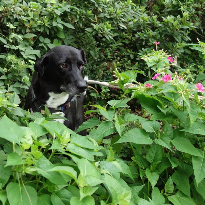 7ecfe9da fc4e 4cb9 a0f1 dbf6cd8451b1 1659743798175