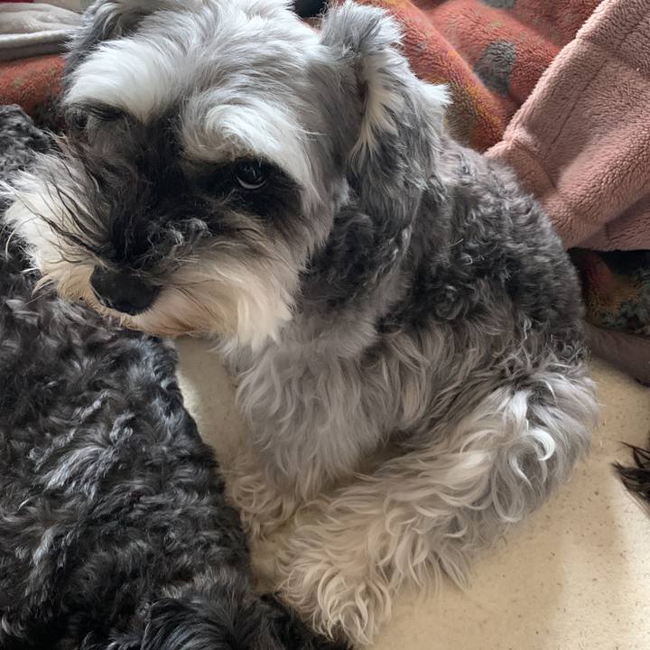 7ecff852 e84a 4469 a018 a1e9f18a6919 1597027808176