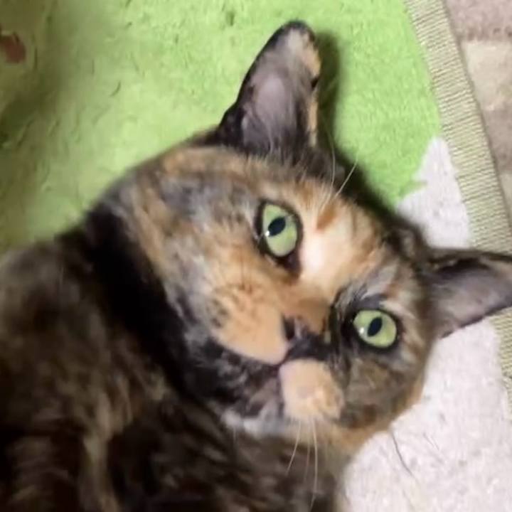 7ecffe54 5962 44a4 b050 e0bda224242e 1743448998526