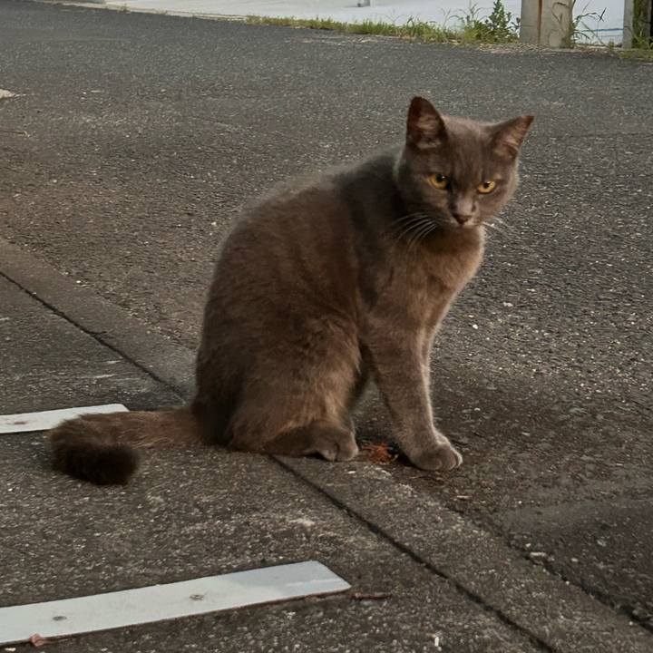 7ed008eb fc5e 46b4 b208 184fbe02ee24 1753526682678