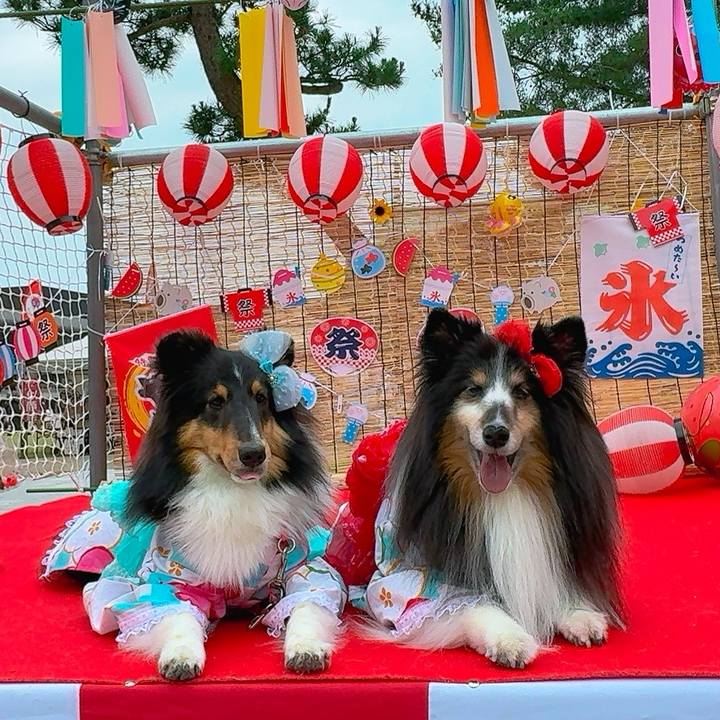 7ed00a74 3d55 4b2c a1ff 359c470b996b 1749492779740