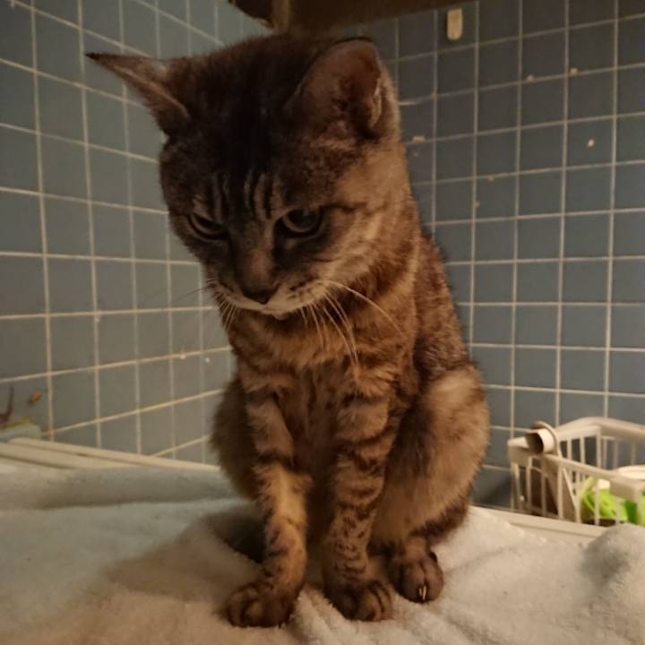 7ed01cae e036 4907 948d dc47d8d52f6a 1568377147407