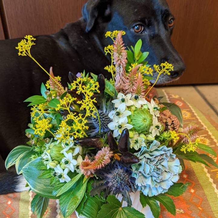 7ed070f7 7c20 4f4c b8d5 dec7085c96ba 1662026733208