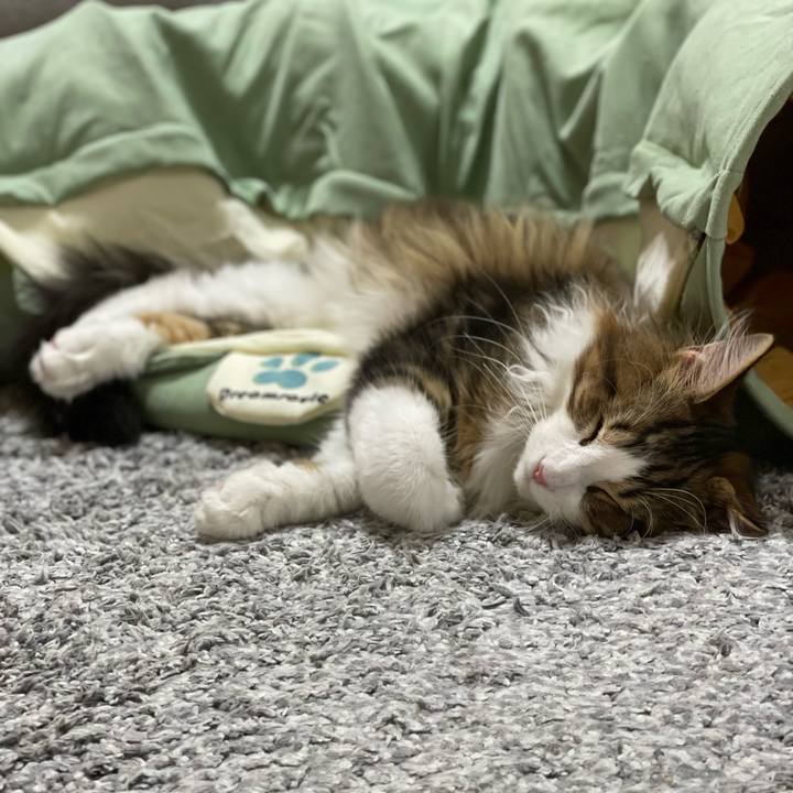 7ed083a1 09ec 41a3 b531 344aa173d98b 1638958221900