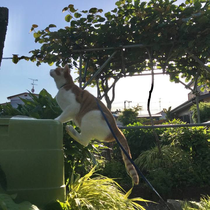 7ed0926e 85d3 4369 9e81 29ffdd5ae747 1528099940919