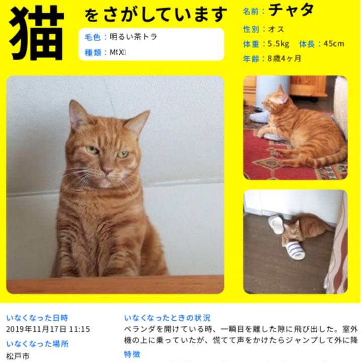 7ed0c1f8 3f07 44a6 9be0 8dc8072a4929 1574001697136