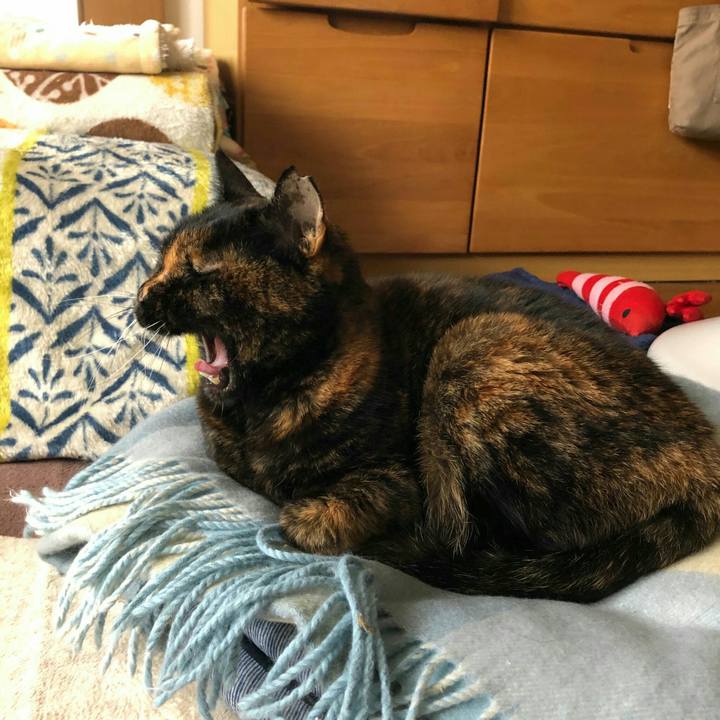 7ed0de92 3b82 46cc 9ec3 d1cd781941c2 1579832973830