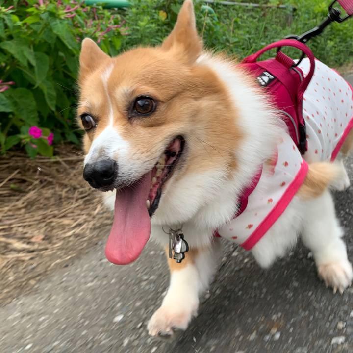 7ed0f4a4 bf1f 4bda 8d45 3130f87b3754 1596924099663