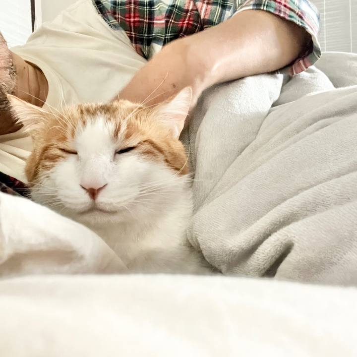 7ed1047f 7d0a 4043 9254 0927f3254674 1765586698480