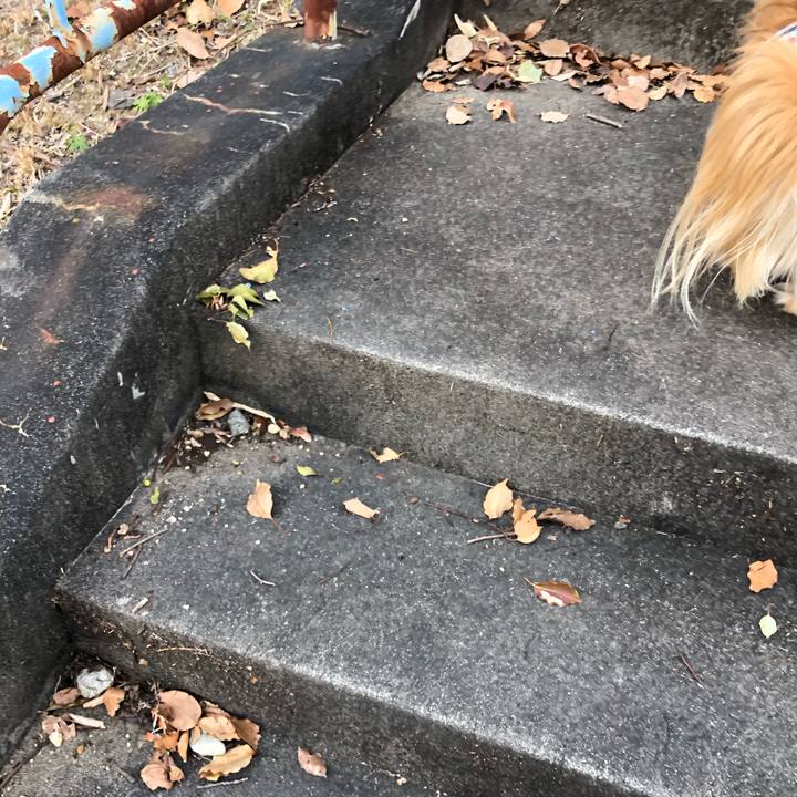 7ed14515 be53 4bfd 815a 50dca8bf06ea 1553419895520