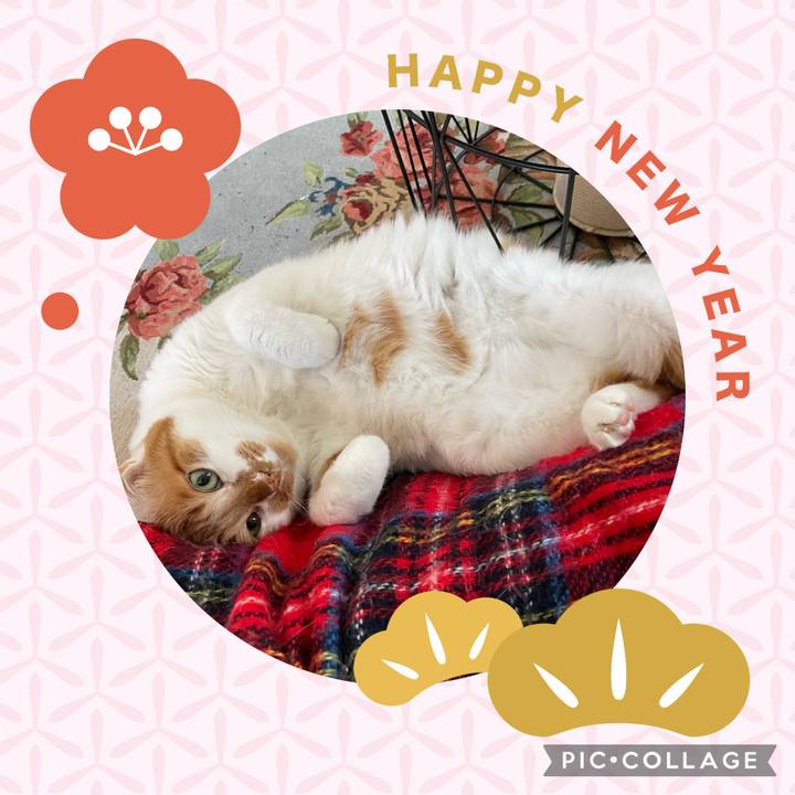 7ed14521 dad6 4946 853a c647039d2fbd 1641007846482