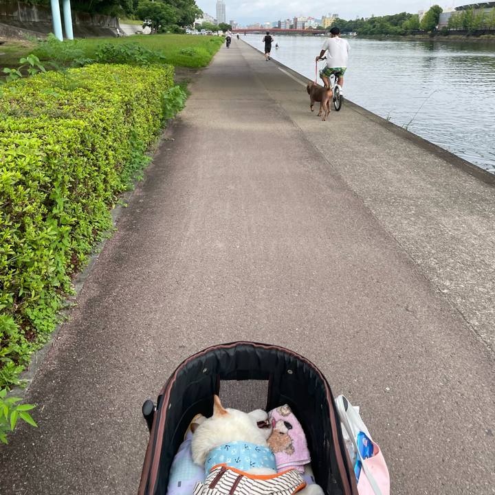 7ed17816 bb2c 4a18 9c04 f36488c79242 1657716724071