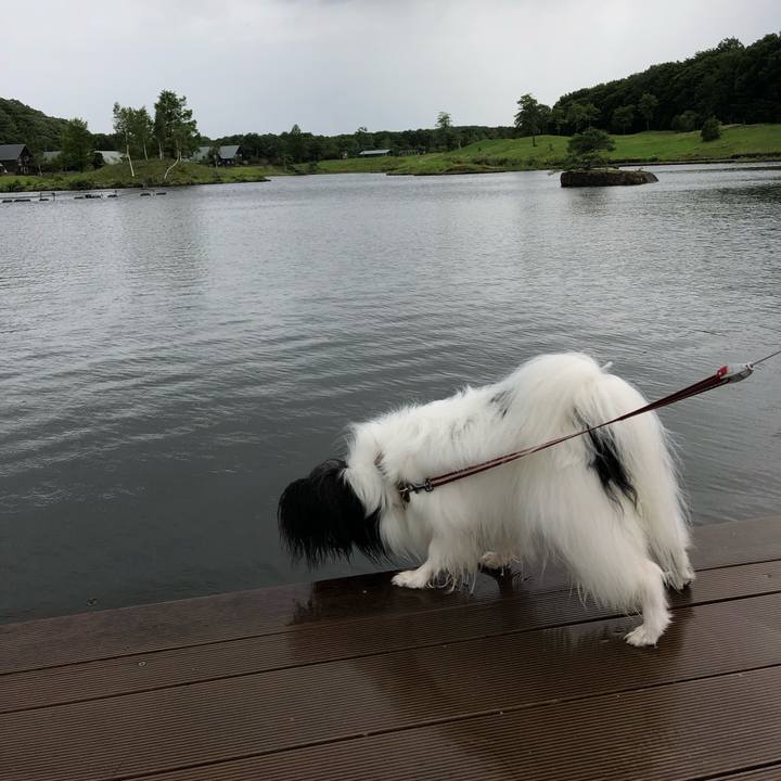 7ed19a2f c1d6 4f92 aa68 0041311271dd 1534405192316