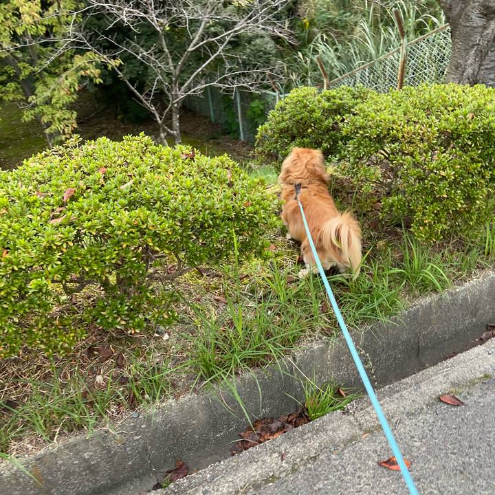 7ed1a3c0 b3c2 448d 8400 a1b9eea0cfeb 1602625375203