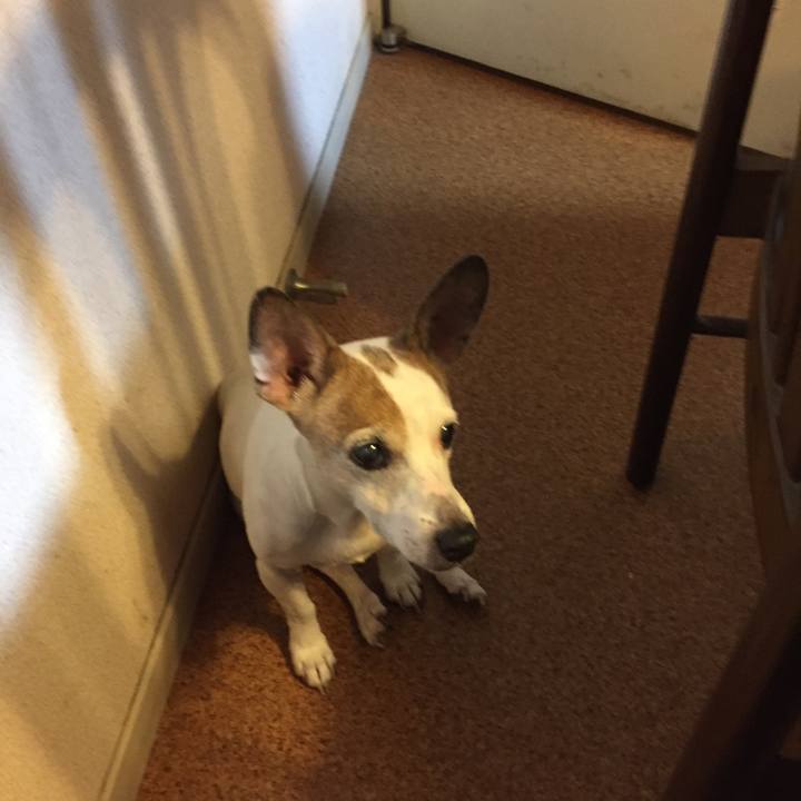 7ed1a882 c6a1 4a93 9b5c 3f0f724b355d 1530363679693