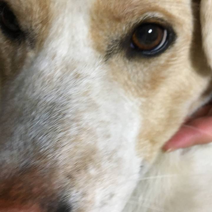 7ed1bb78 7ea0 4940 abb2 b19ea34accac 1537951324222