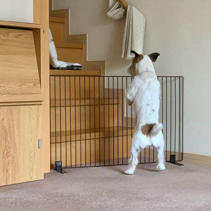 7ed1ca3e ca88 43e8 9306 52a402f1ec32 1645265720865