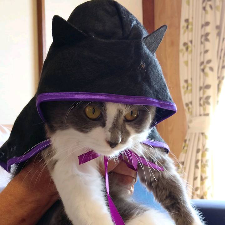 7ed1e11f 11fb 4596 b02c 3fcc3d897ed7 1602389608496