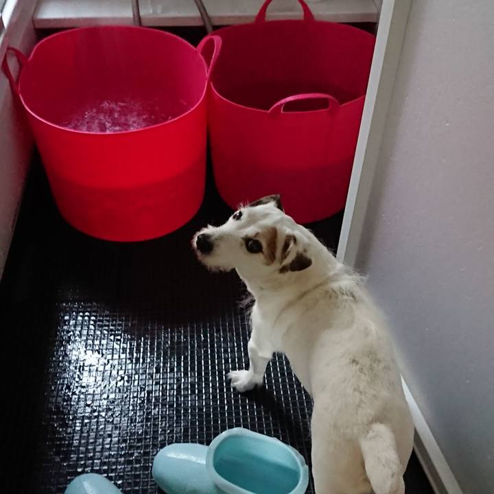 7ed1e66d 7864 40dd b2c1 b899c64b6385 1570879795586