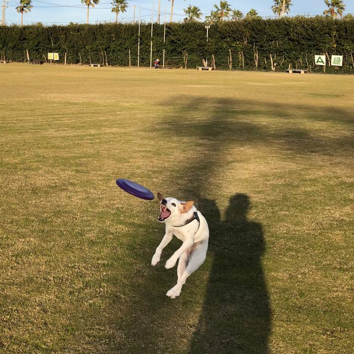 7ed1f711 1f10 4773 952b 3f3a388cac55 1511616085198