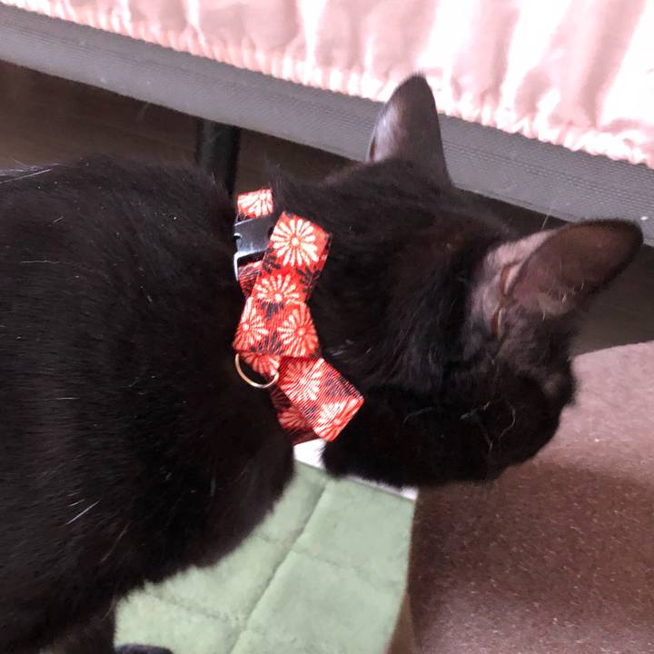 7ed1fb60 3fb9 4cd7 90c9 f92c0afe5134 1531736130643