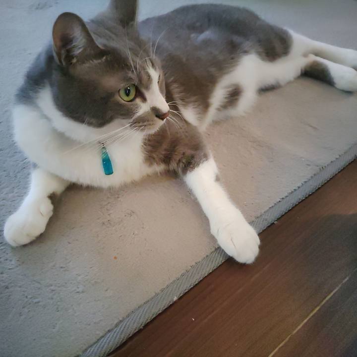 7ed21211 fbeb 4c02 bd40 4b8e47794fcc 1659910222440