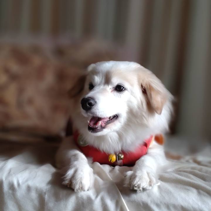 7ed24f07 6e24 4e1d 9916 856d16fec325 1649112935973