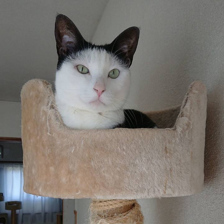 7ed25162 b601 4a05 8134 62d549d5dba5 1519469487902