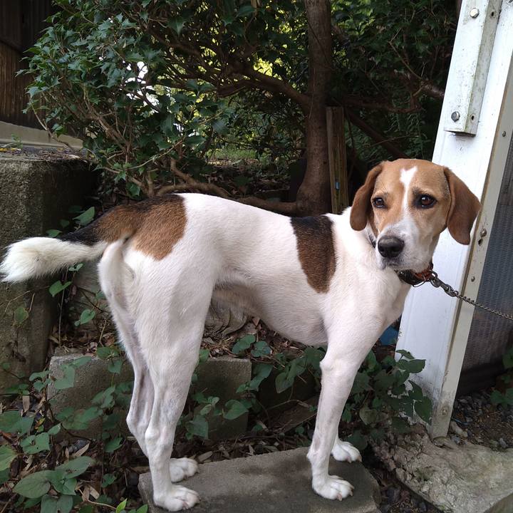 7ed25a03 051d 4a30 b9f0 a580647cb7e3 1630742602023