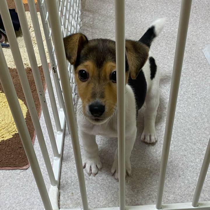 7ed262dd 64a0 44c2 bd26 a76c4b10a2de 1742738586105