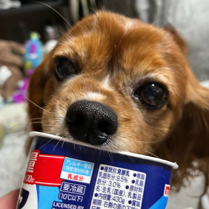 7ed28dac 4987 46e4 b94f eadb32baa1e7 1674770706004