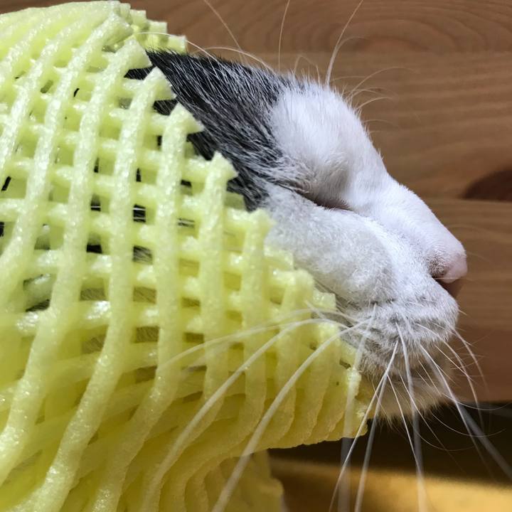 7ed29f7b 264d 43c6 859f c34d6fecd343 1538483711773