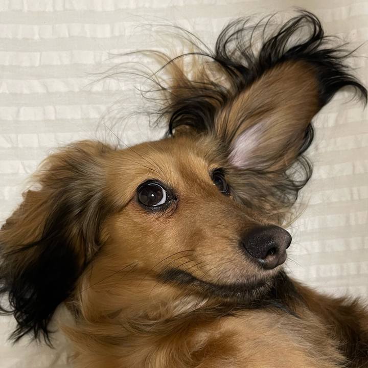 7ed2deea c1d7 401f a3e4 65ba49d2cc34 1656942194193