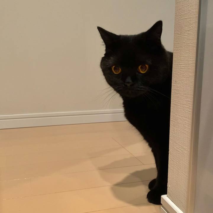 7ed2e2ca 7588 4bd1 9d86 d7fd89bd099d 1627554298414