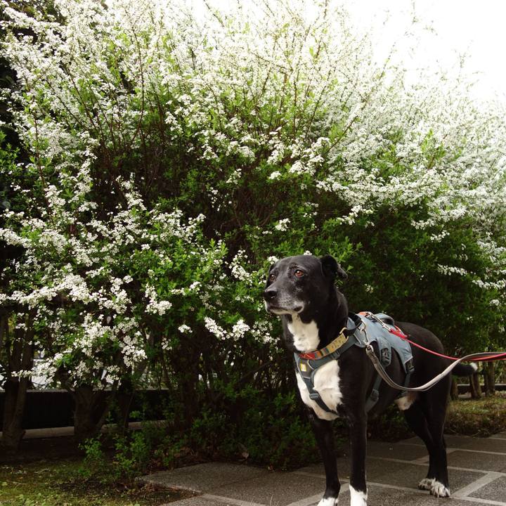 7ed2e668 9c50 4296 be30 4fe09b2456ec 1742777828020