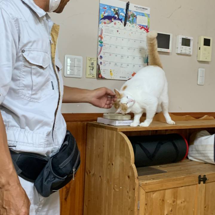 7ed2fe3c a071 4e13 84c6 ac6fb648343a 1659179426443