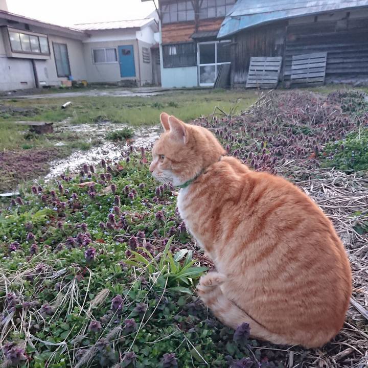 7ed304ff 5fab 449c ad09 4b27bf9f4761 1585040908998