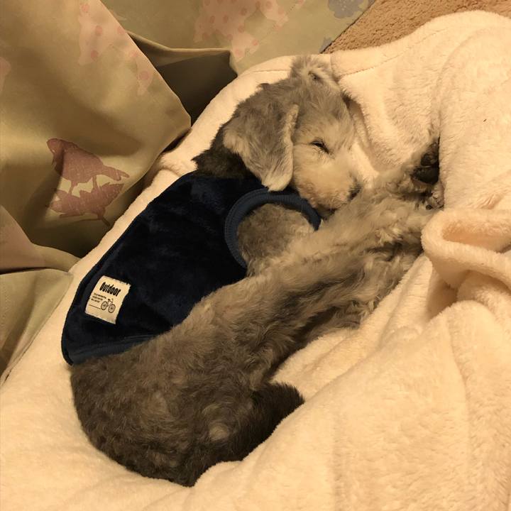 7ed306b1 cab4 4b48 a723 fdb156292e68 1668400796307