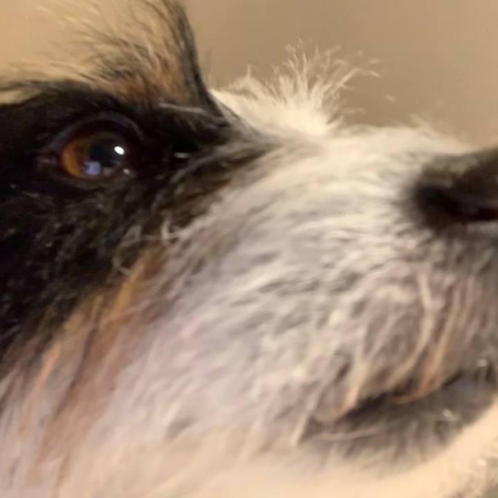 7ed31271 54f5 40c4 b7ab 1b6b6c9bfc3a 1579777601699