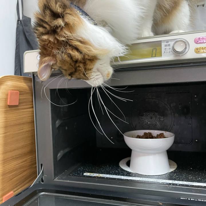 7ed31f9d 4d6b 401c b180 042a4c93ccfc 1644007125322