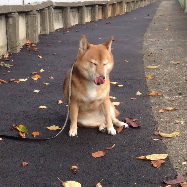 7ed3292b ed5a 4bc5 8eff d68f3ae28d82 1536906896480