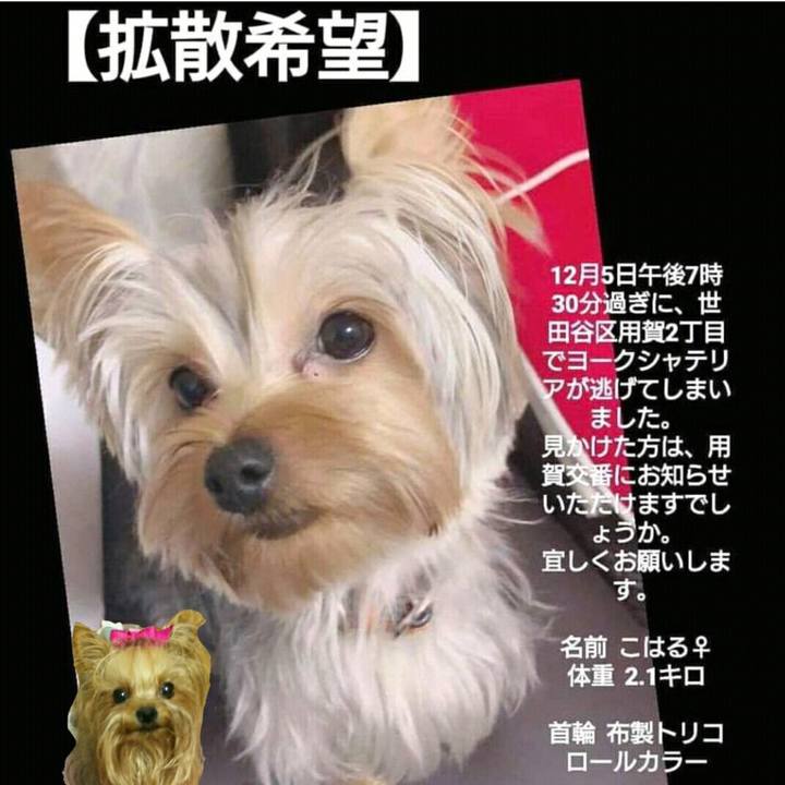 7ed3394f acda 45f6 bf10 d29ea7877ef4 1544432955440