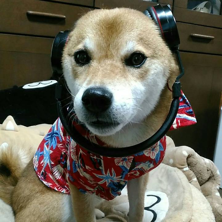 7ed34947 8c28 4813 a3b2 8e9b9d0281f1 1565773346284