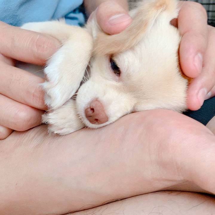 7ed38103 013d 475f 98b4 8de3c139c842 1597116053569